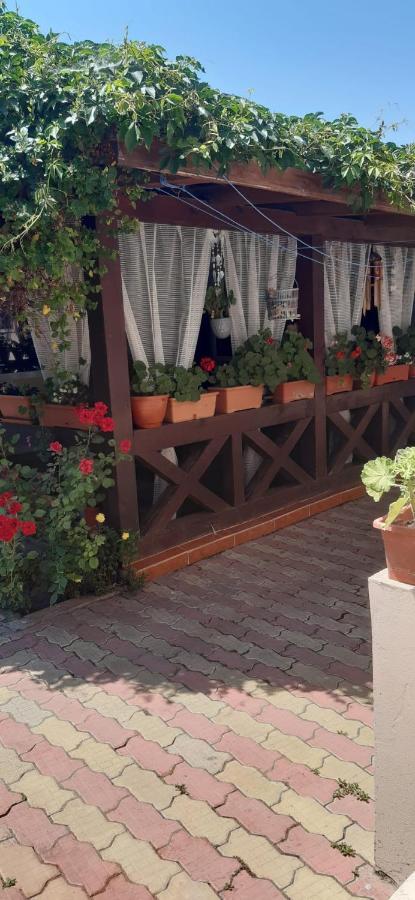Hotel Casa David Sulina Zewnętrze zdjęcie
