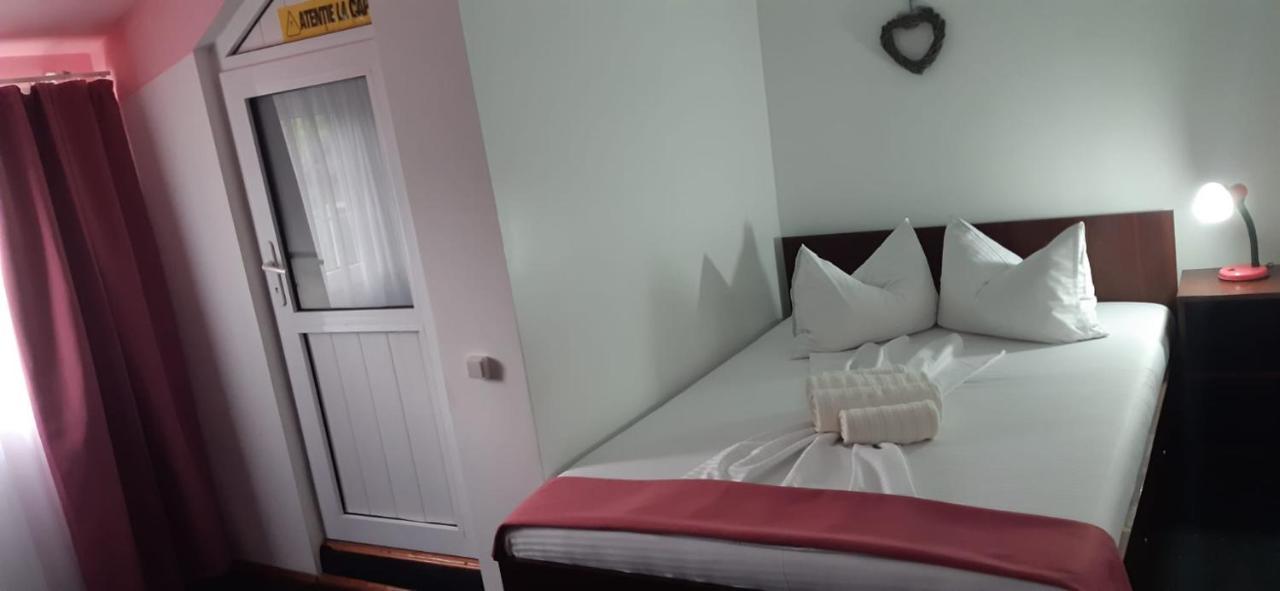 Hotel Casa David Sulina Zewnętrze zdjęcie